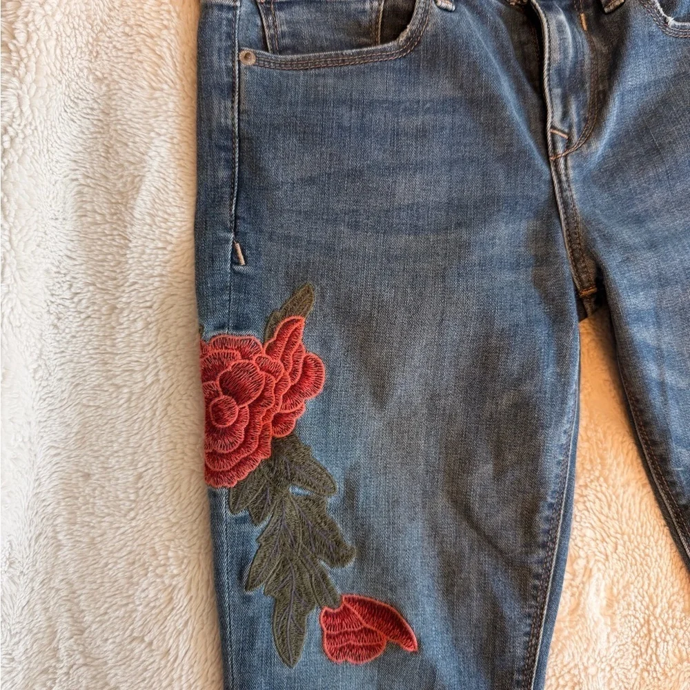 Express Women's Skinny Jeans - Blue with Red and Green Floral Embroidery